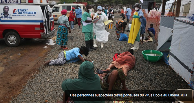 إيبولا تهدد كأس إفريقيا