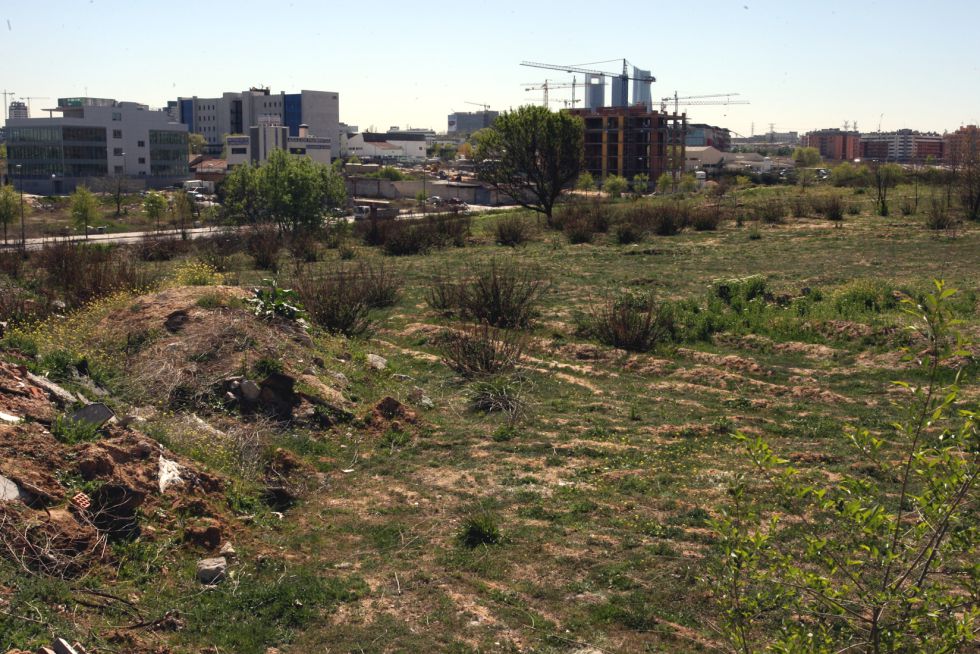 ريال مدريد متهم باختلاس مبلغٍ كبير من الحكومة الإسبانية