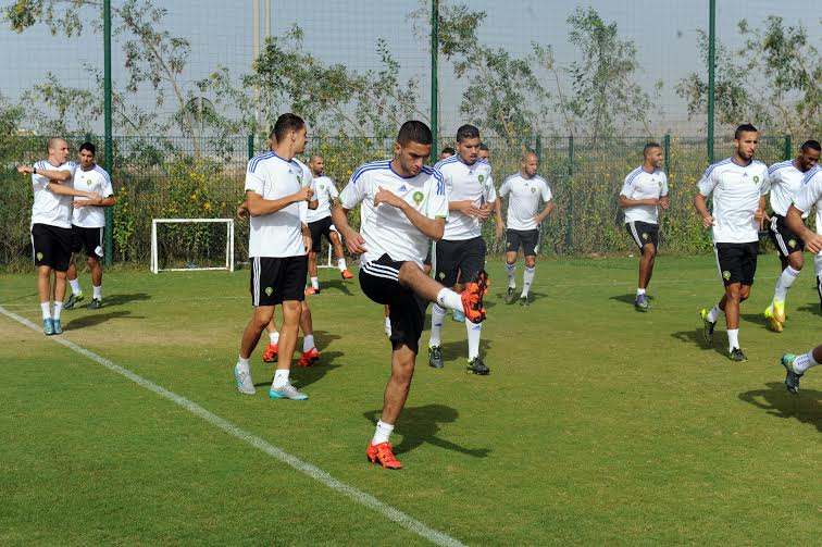 الأسود و الفيلة بملعب واحد قبل المواجهة