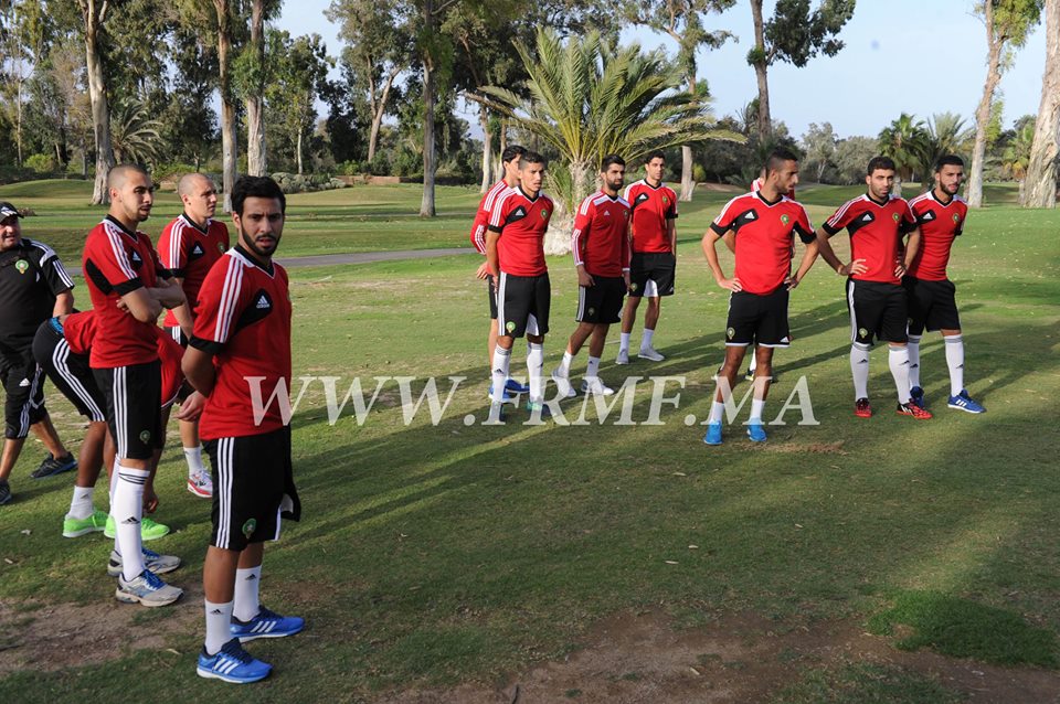 الأسود والأفيال تدربوا في توقيت واحد