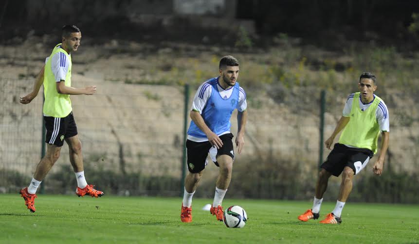 بالصور..18 لاعبا في الحصة التدريبية الأولى للأسود