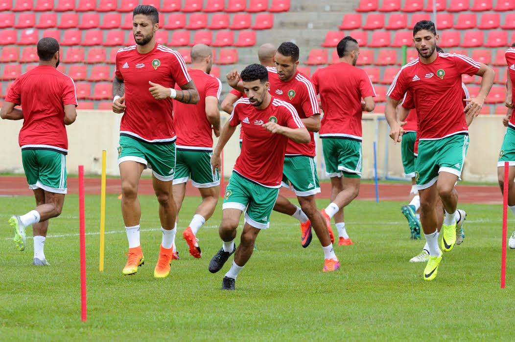 الأسود في مهمة معقدة بالغابون