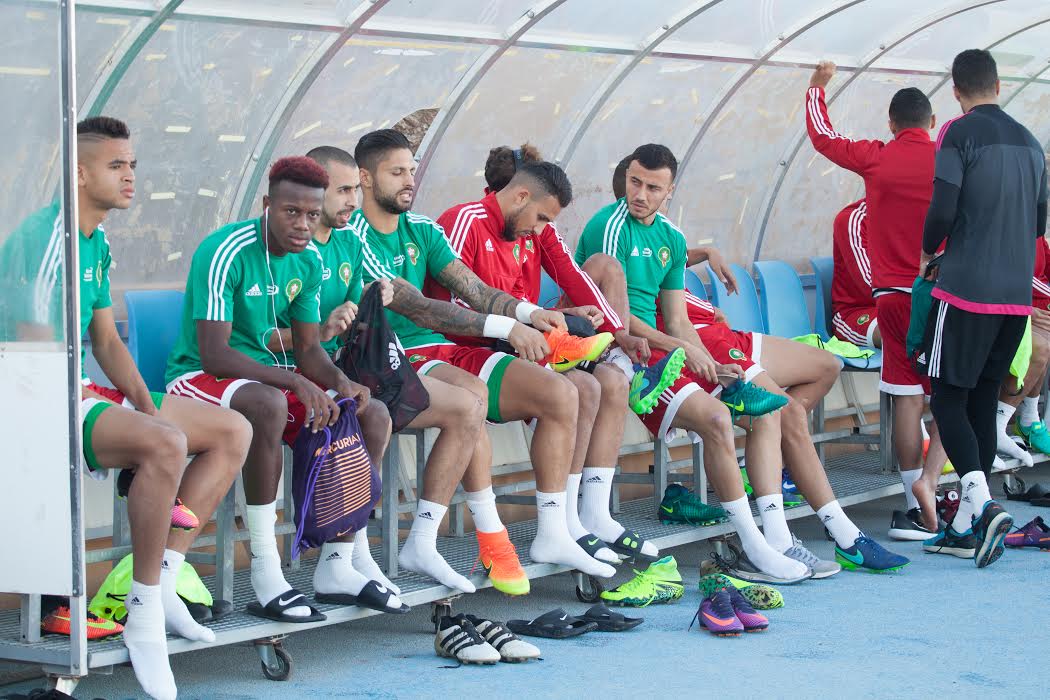 التكنولوجيا عين الثعلب على أسود العالم