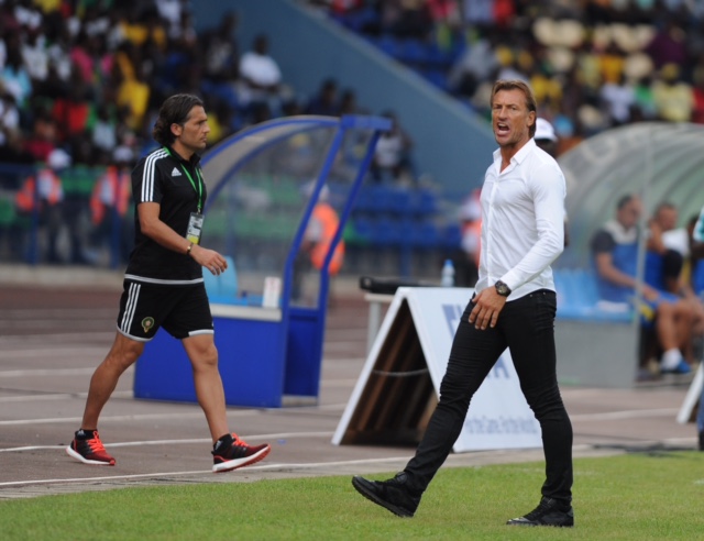 الأرقام تكذب هيرفي رونار