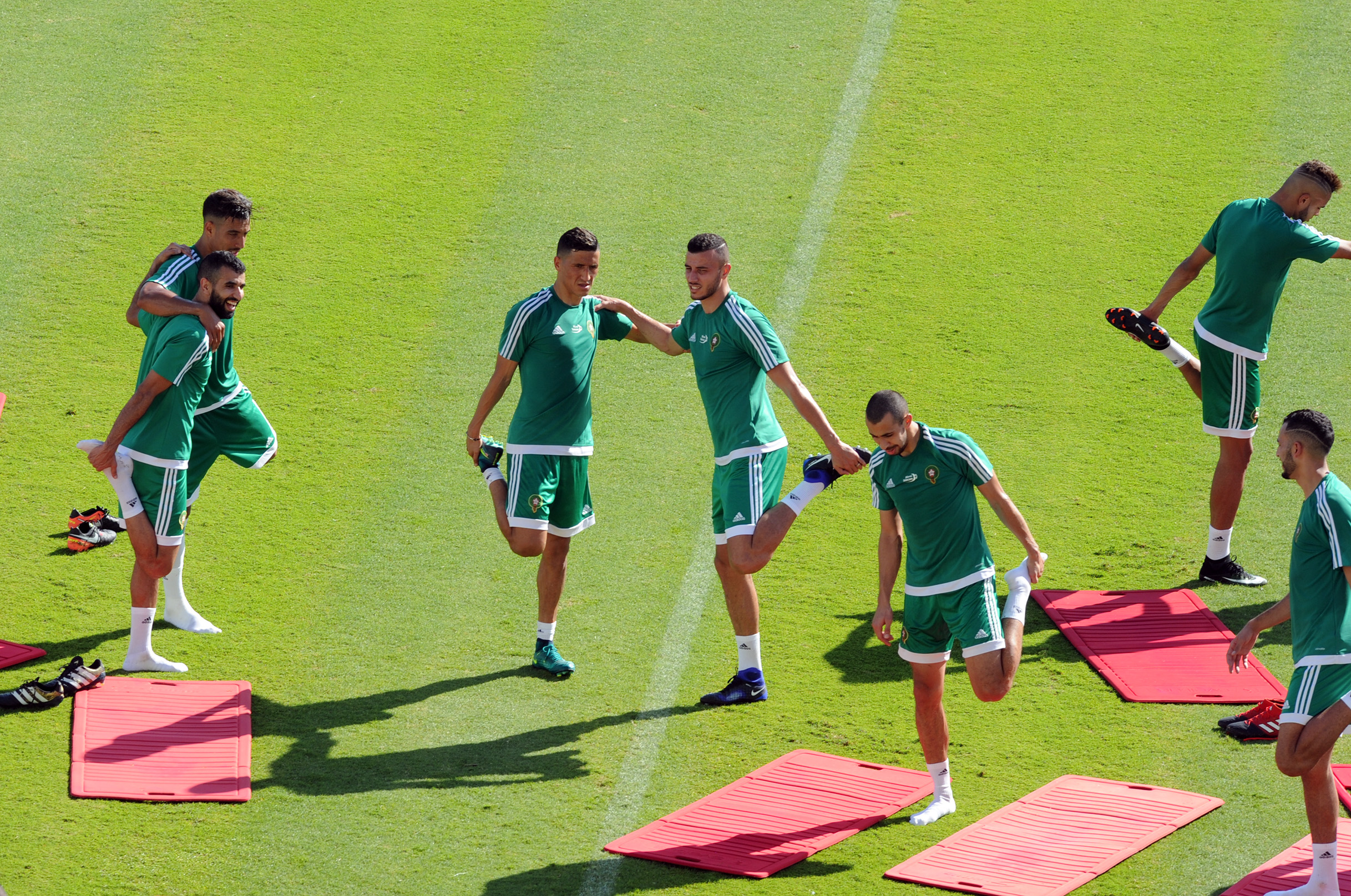 الأسود أجروا حصة تدريبية صباحية