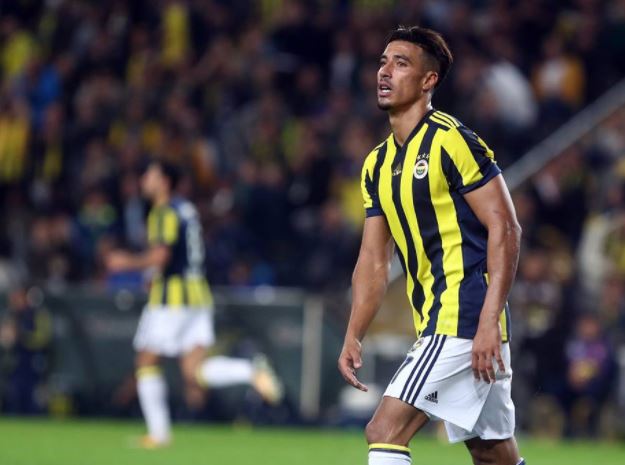 زئير الأسود يُسمع في إسطنبول وروتردام ومدريد