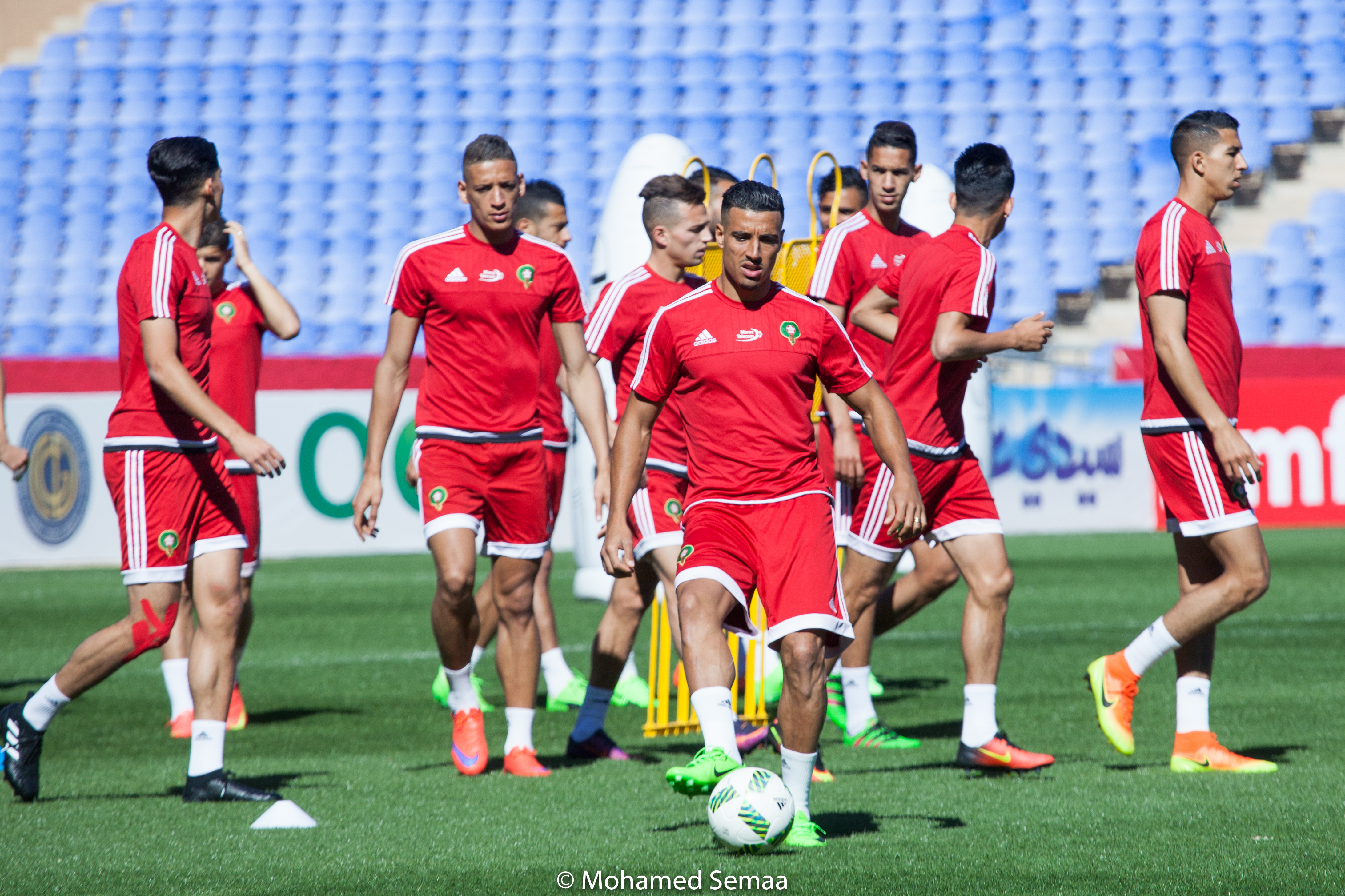 هل يعسكر الأسود بالدوحة شهر مارس؟