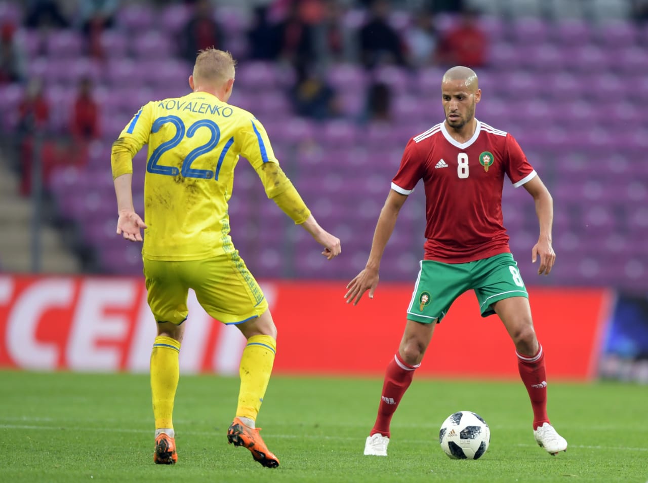 كريم الأحمدي: رئة الأسود