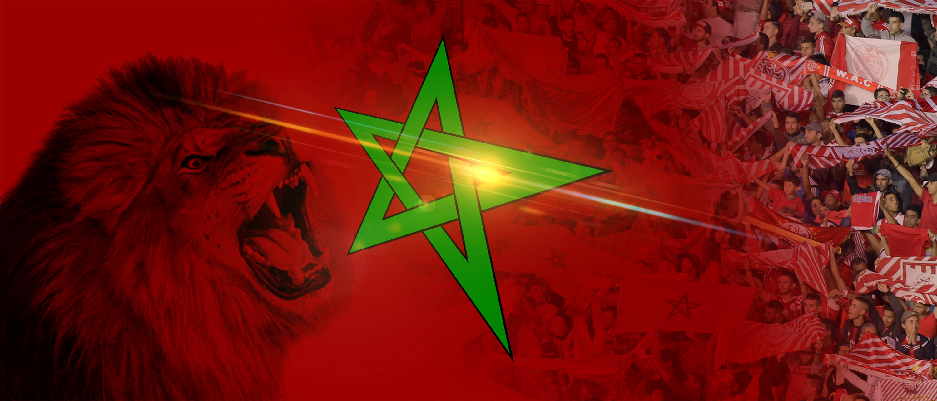 هذا الأسد يعود غدا للمغرب