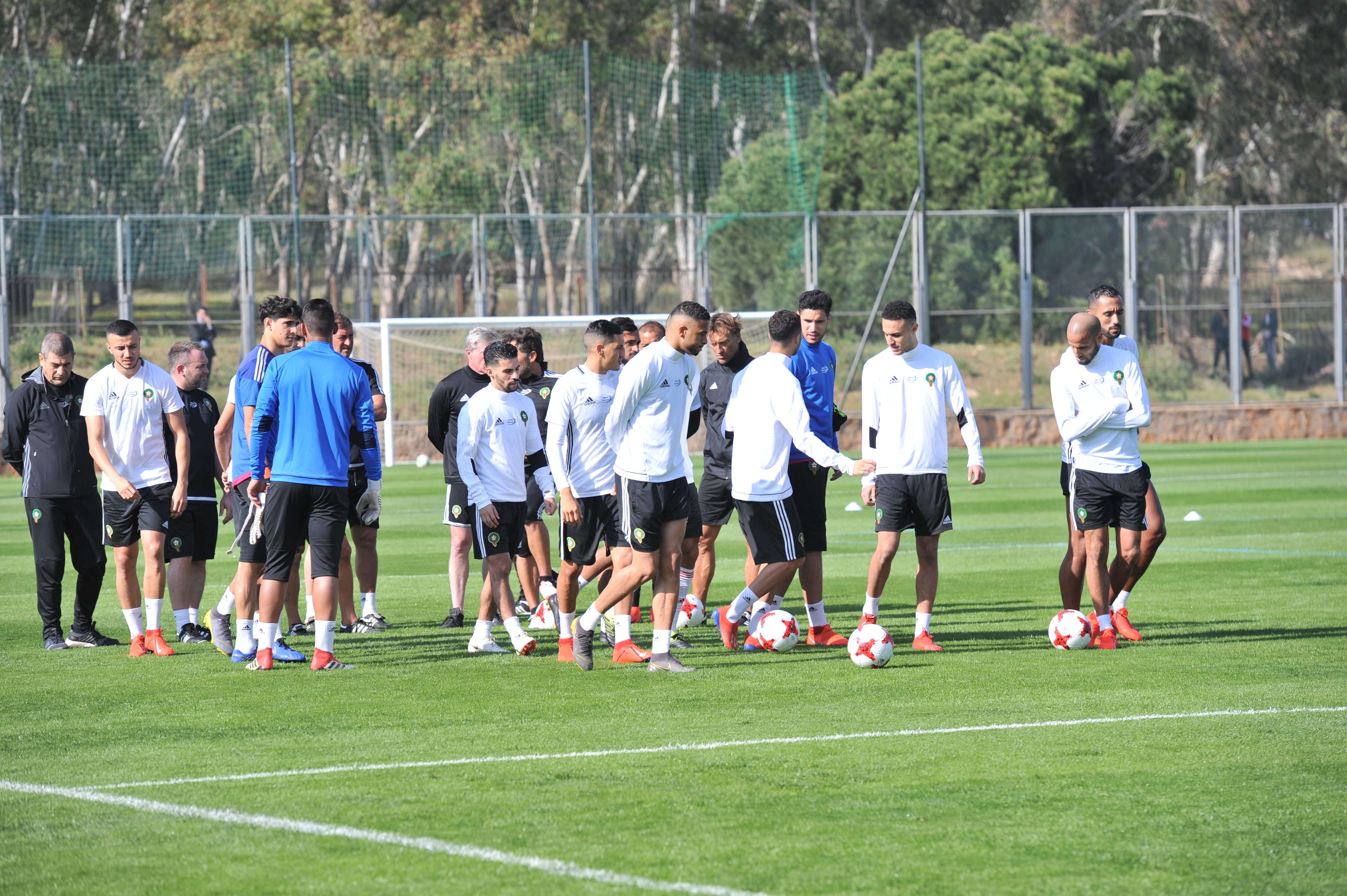 هؤلاء الأسود تدربوا في قاعة تقوية العضلات