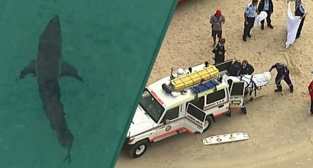وفاة راكب أمواج في هجوم سمكة قرش في أستراليا