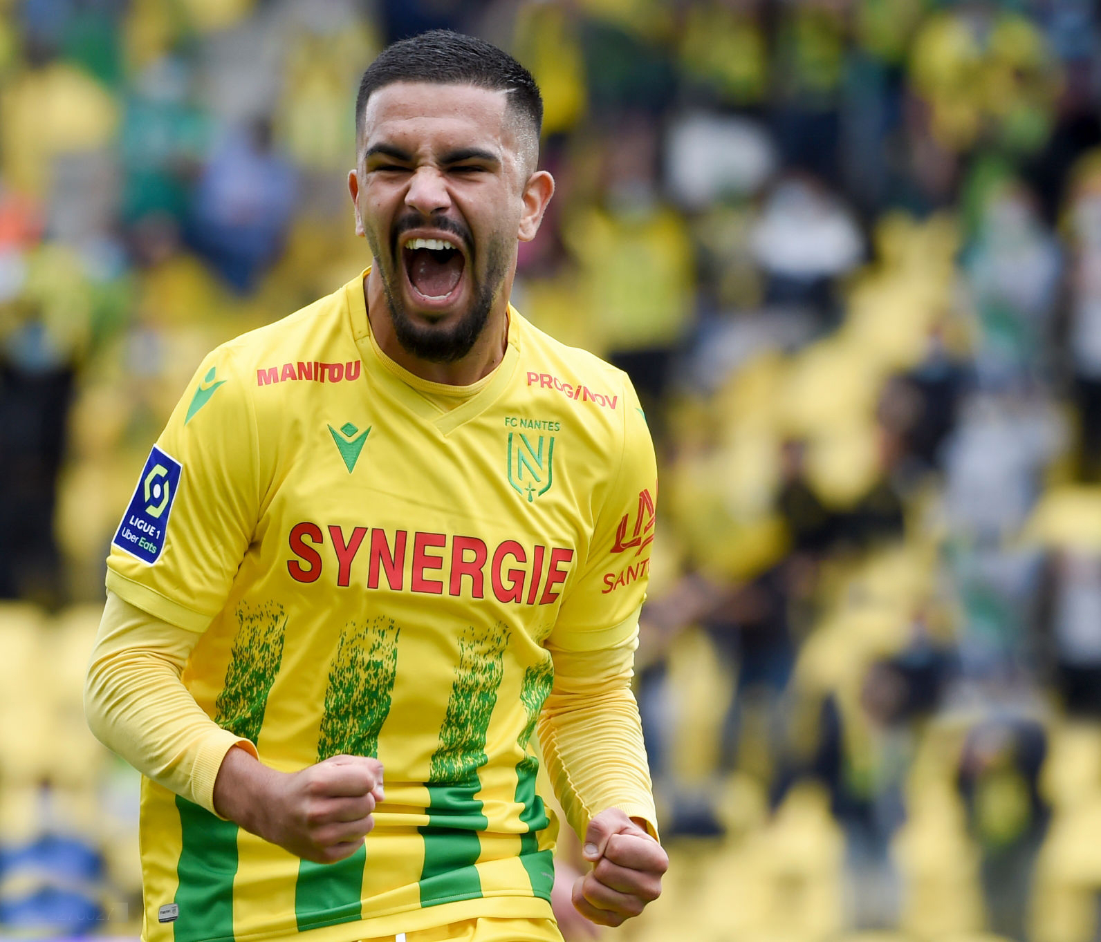 لوزا سجل وطرد