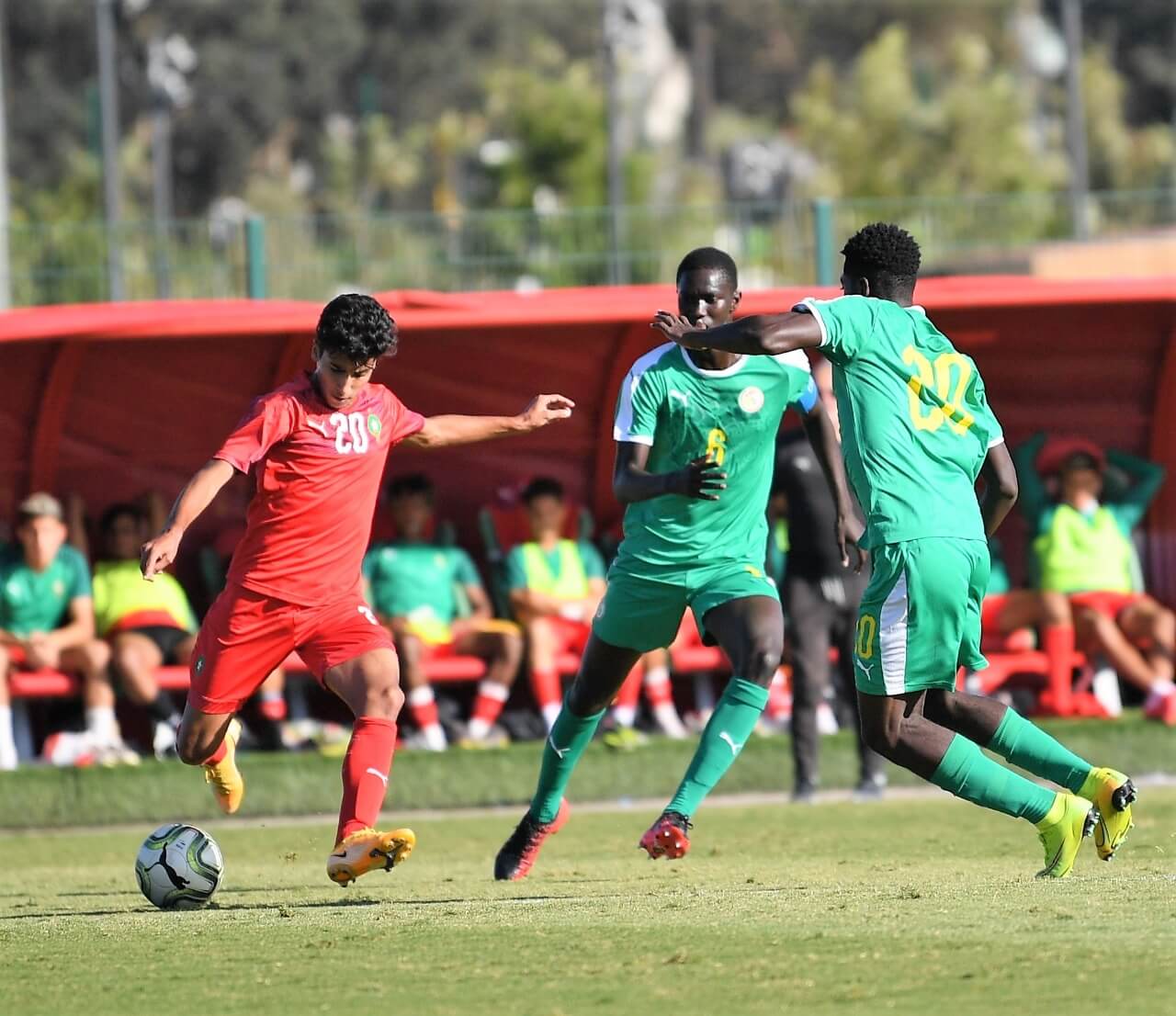 الأشبال هزموا السنغال في ثاني ودية