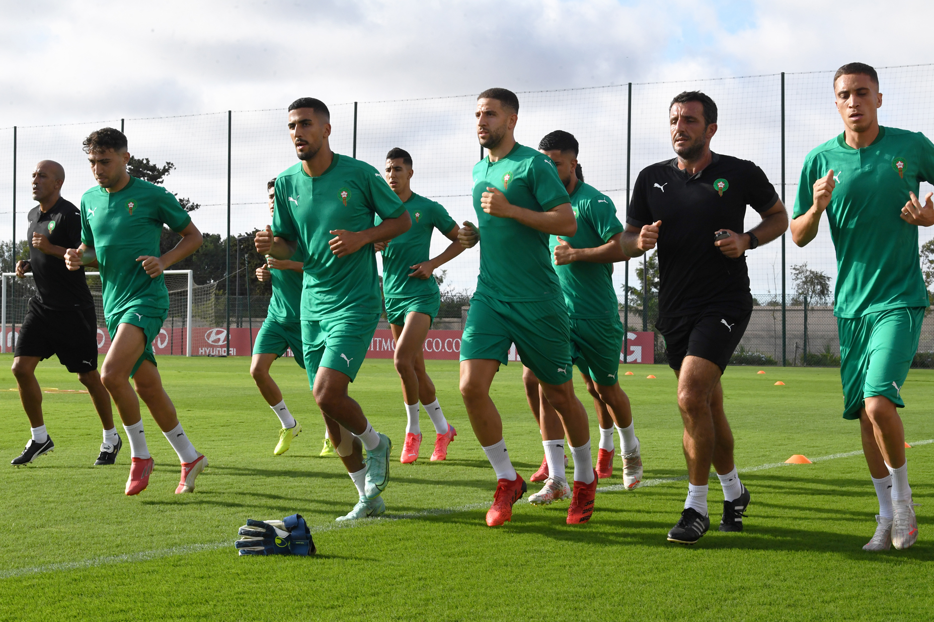 تداريب الأسود بصفوف مكتملة