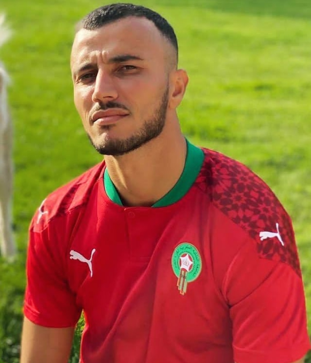 العميد يطمئن الجمهور بالأجواء العامة للمنتخب الوطني بياوندي