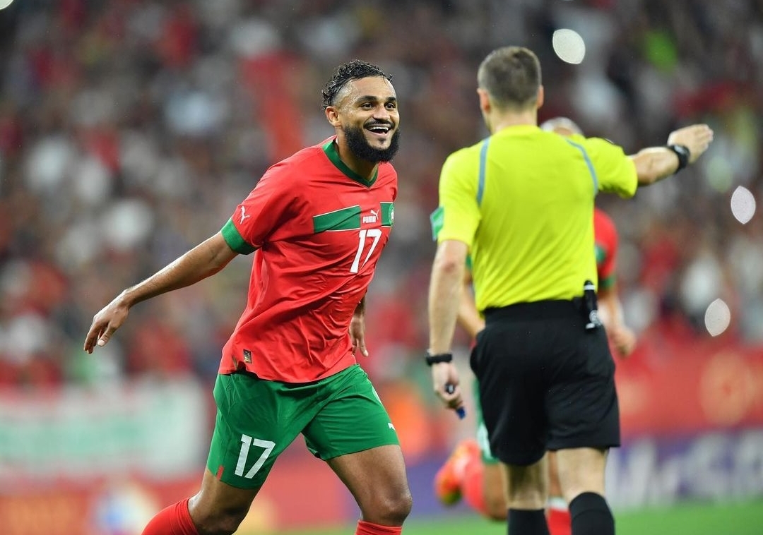 أسودنا يتظاهرون بالإصابات، هل نصدق الرواية؟