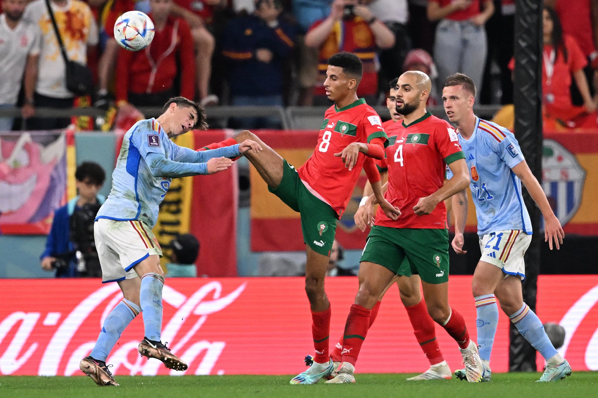 طاليب: إنجاز منتخب المغرب لم يفاحئني