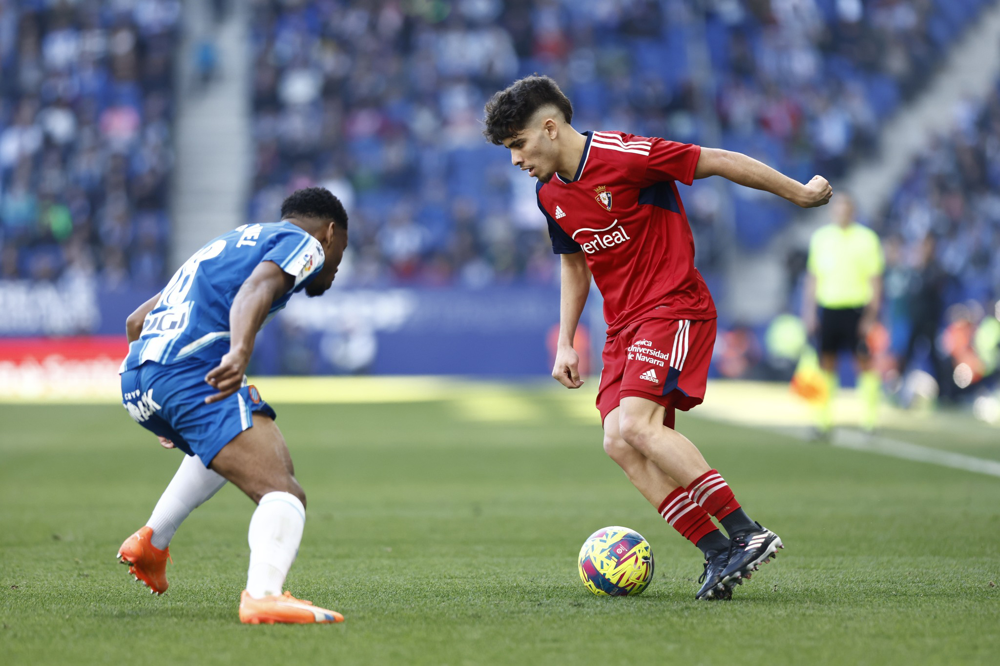 دليلك لمشاهدة مباريات أسود العالم