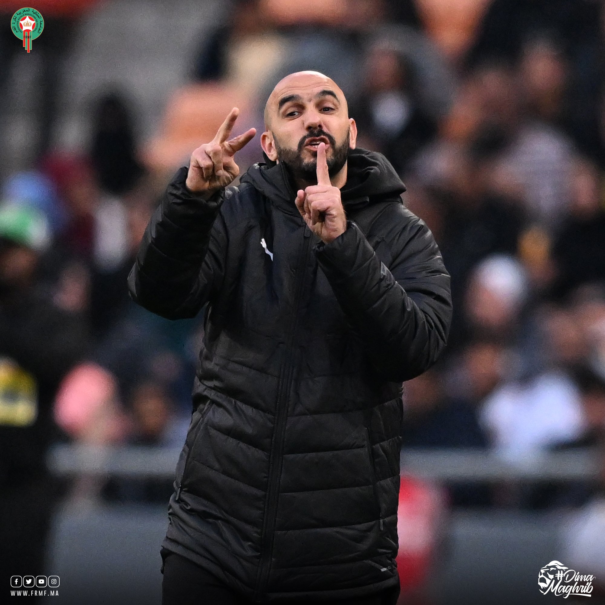 الجامعة تكلف الناخب الوطني بمهمة جديدة