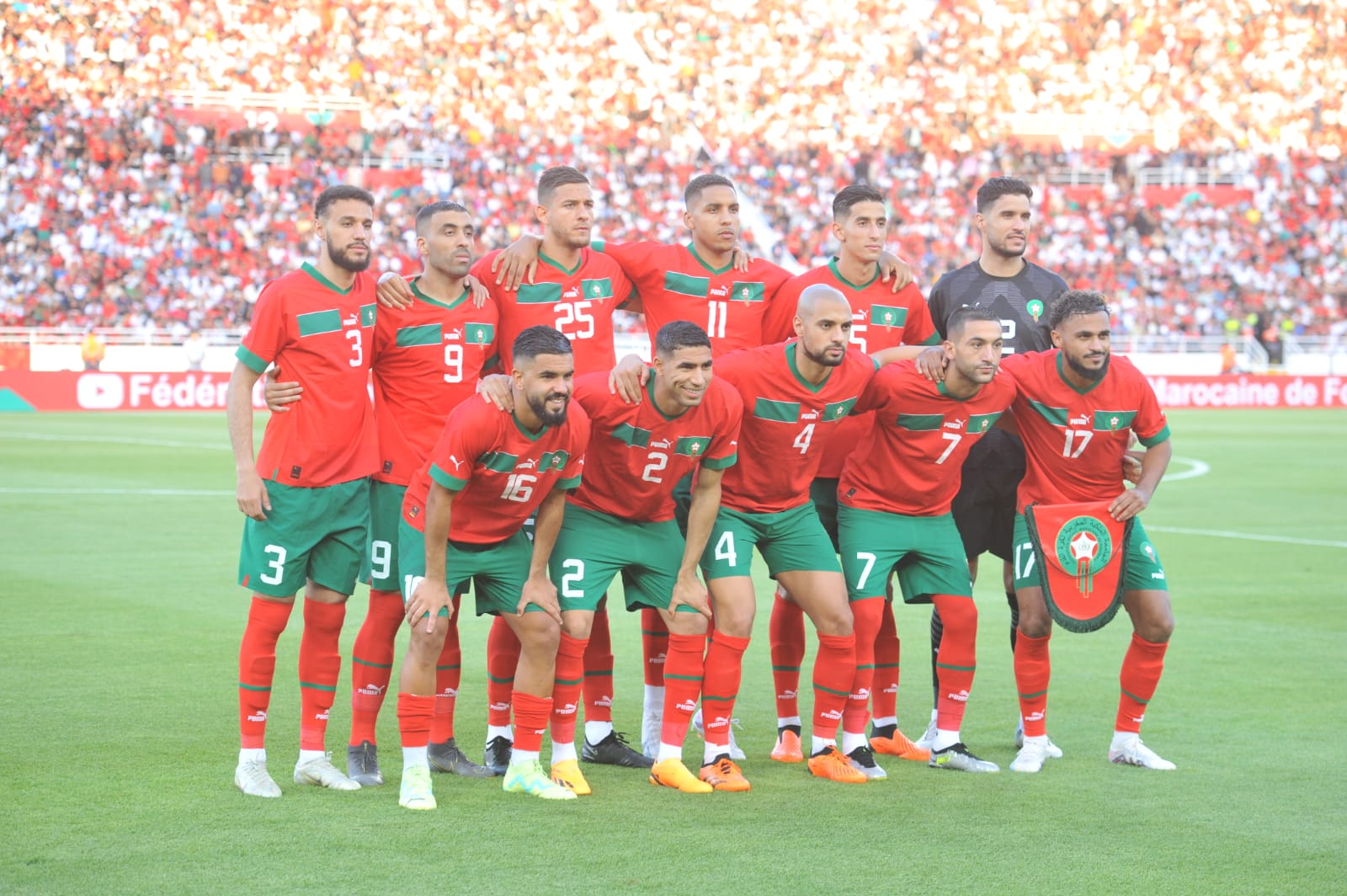 ودية الرأس الأخضر.. ضارة ونافعة