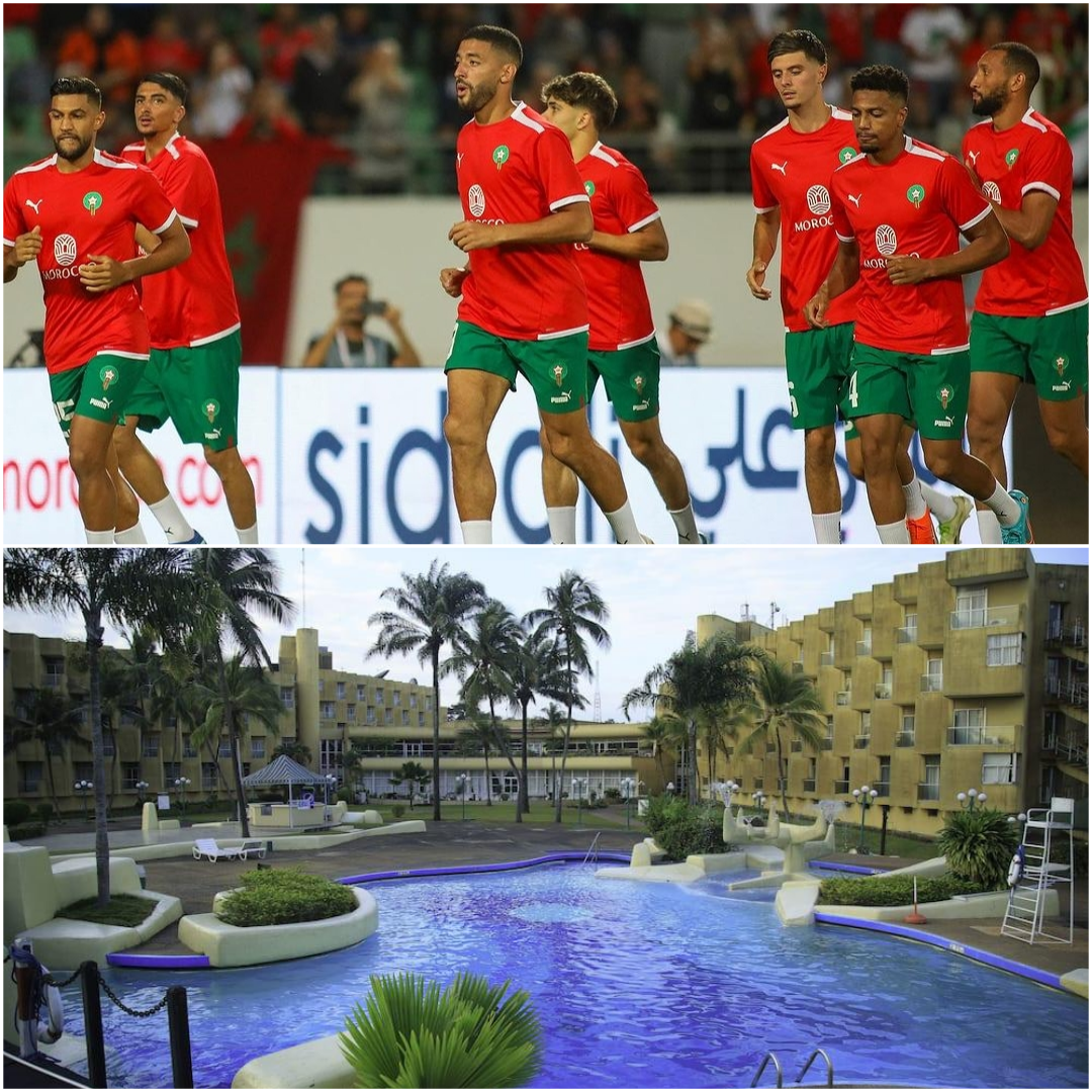 فندق واحد مصنف بجودة عالية من نصيب الأسود بسان بيدرو