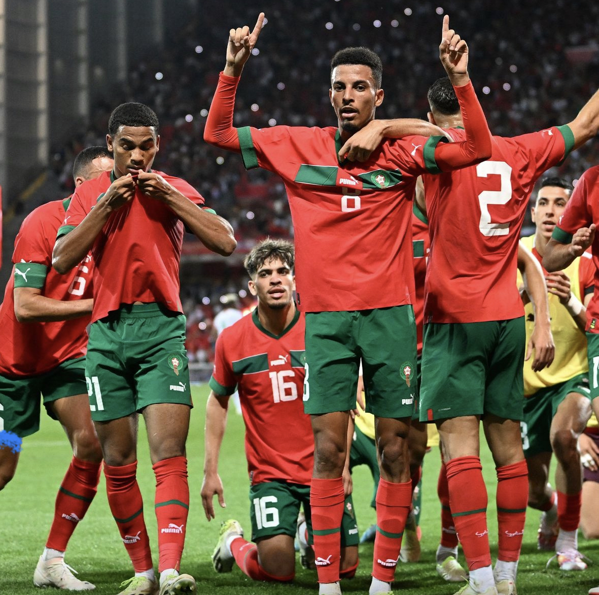 التشكيل المحتمل للأسود ضد الفيلة