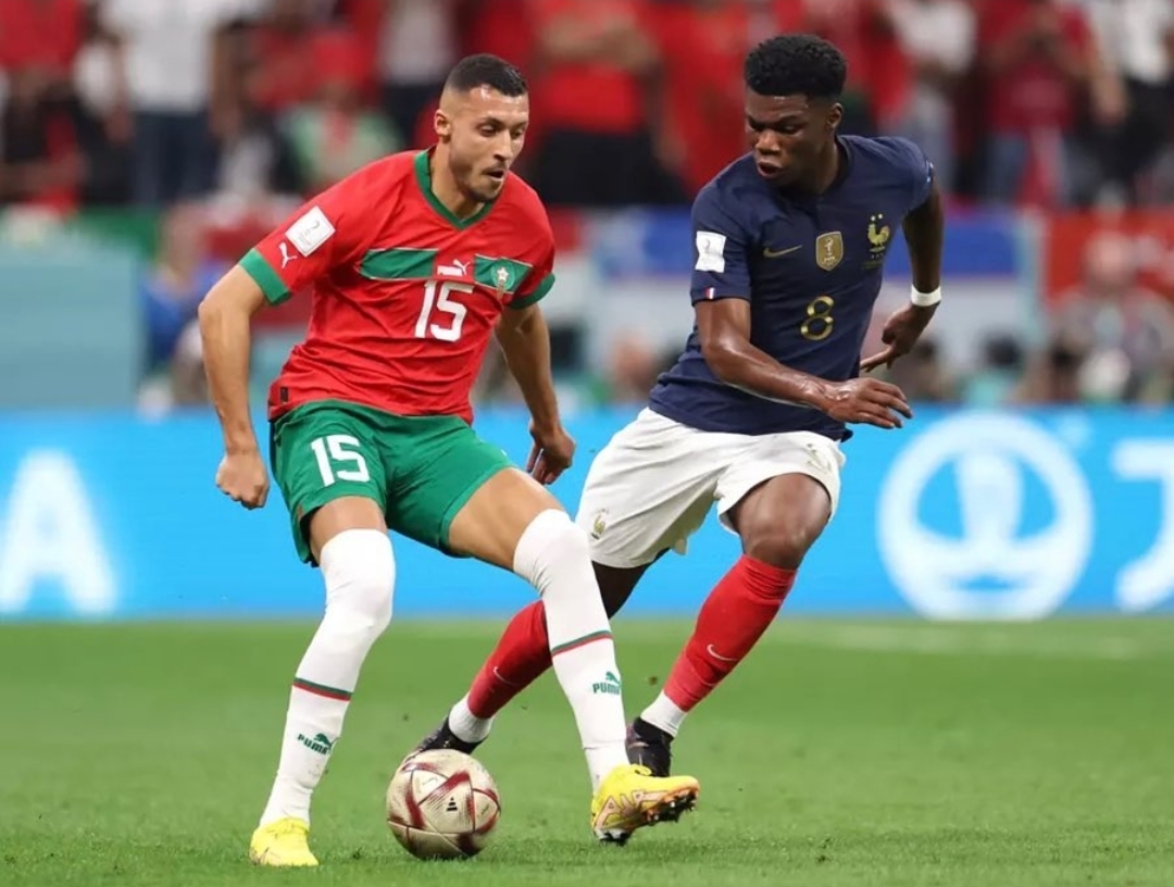 أي نحس يلازم سليم أملاح مع إقتراب معسكرات الأسود؟