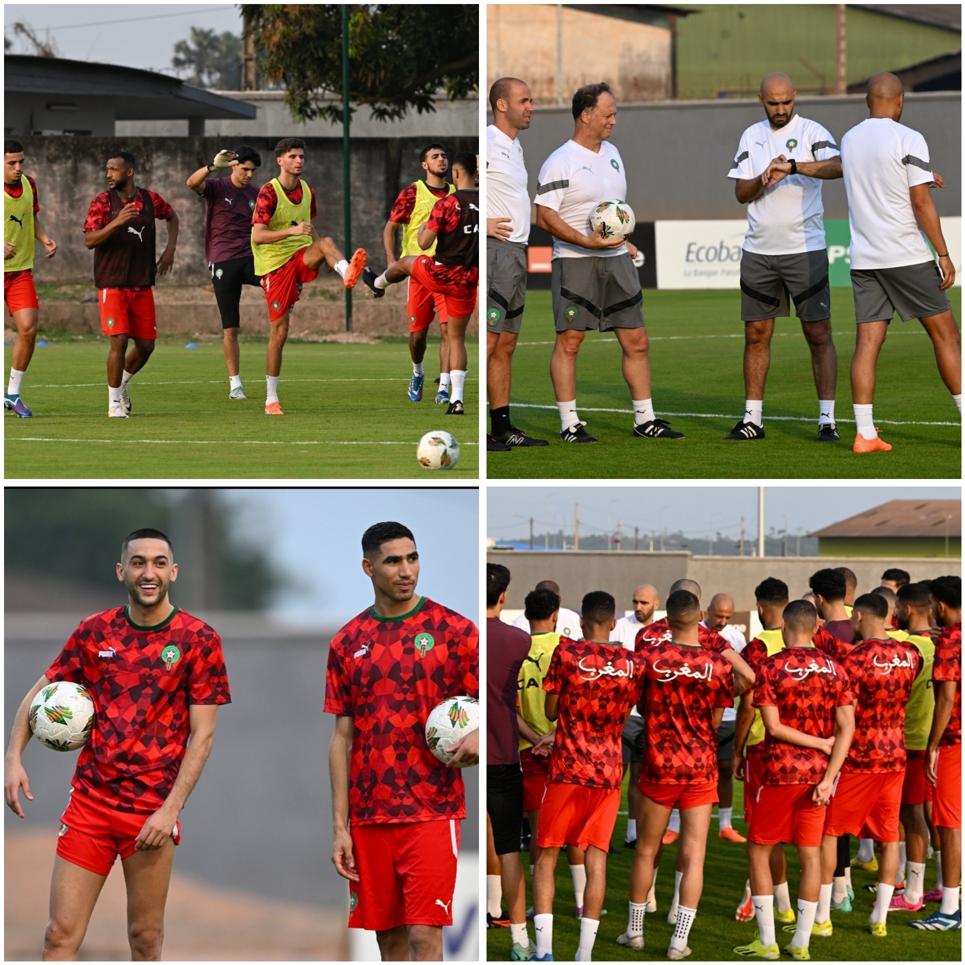 الركراكي وضع اللمسات الأخيرة على تداريب الأسود قبل مواجهة تنزانيا