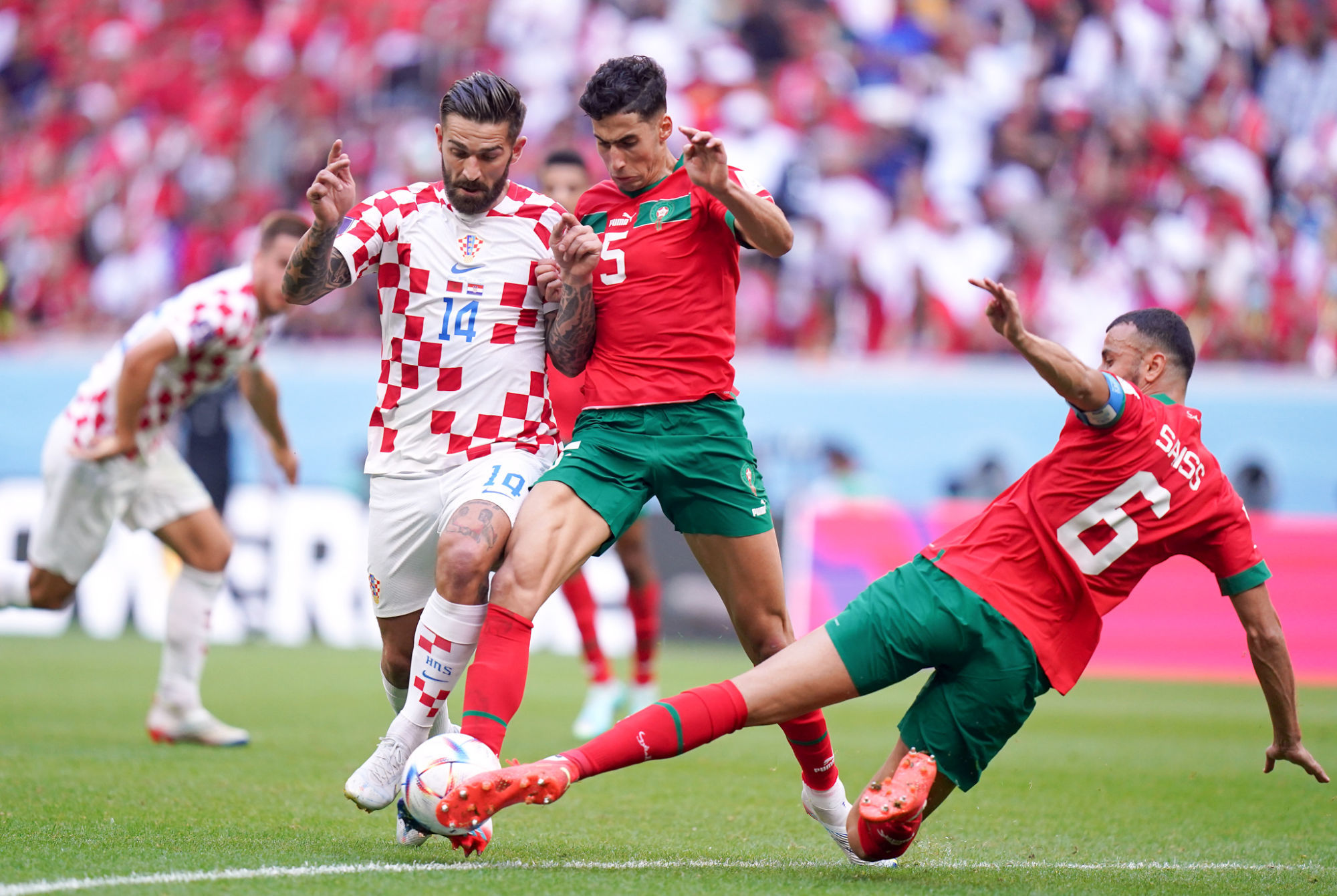 6 أسود بخبرة كبيرة وبأكثر من 50 مباراة دولية