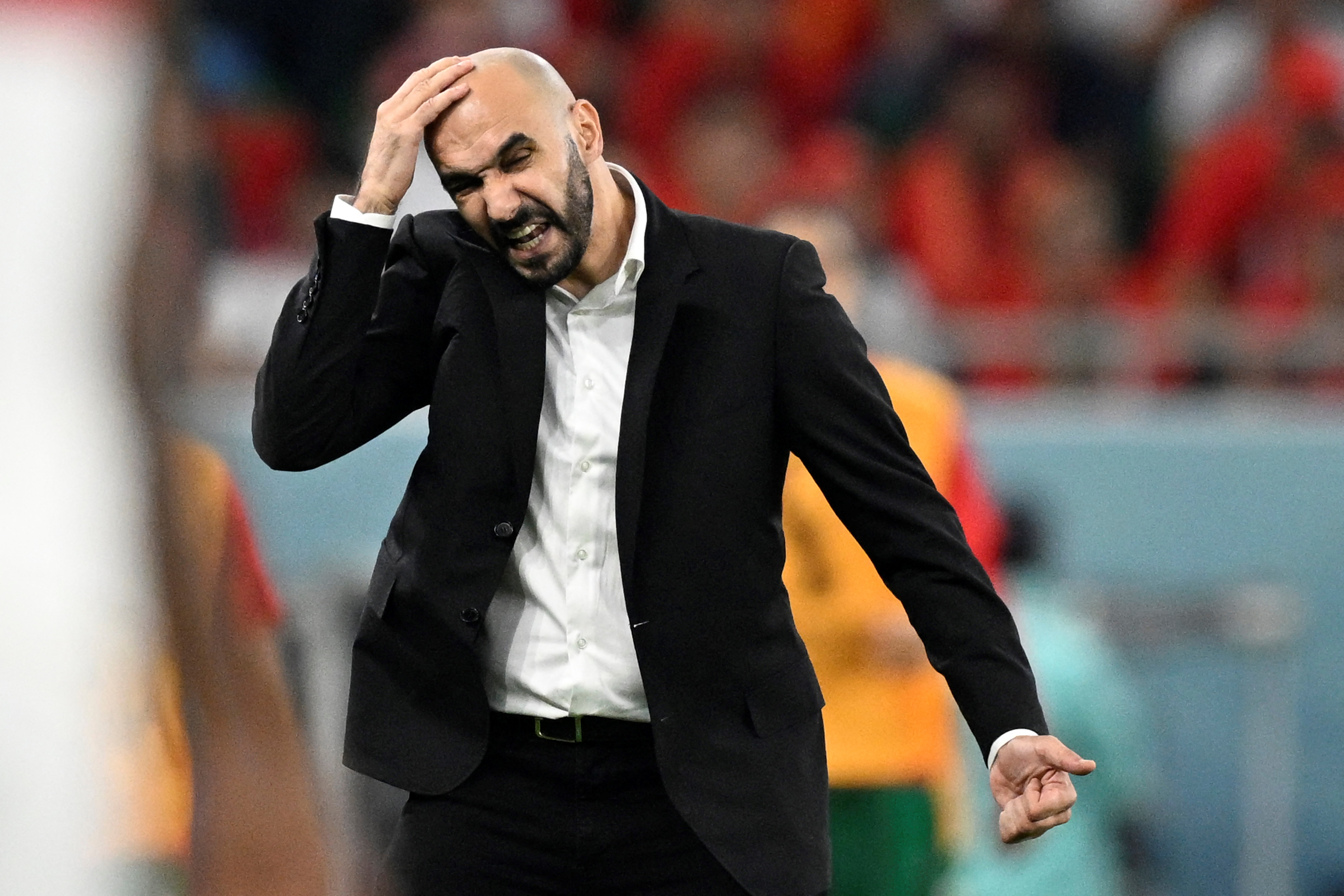وليد الركراكي: أنا جائع وأريد الفوز بكأس إفريقيا