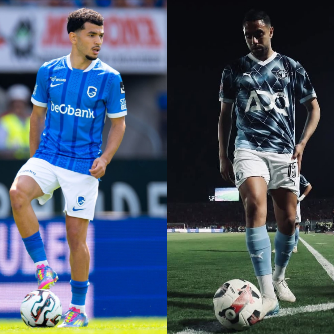 لماذا الشيبي وليس الواحدي مجددا؟