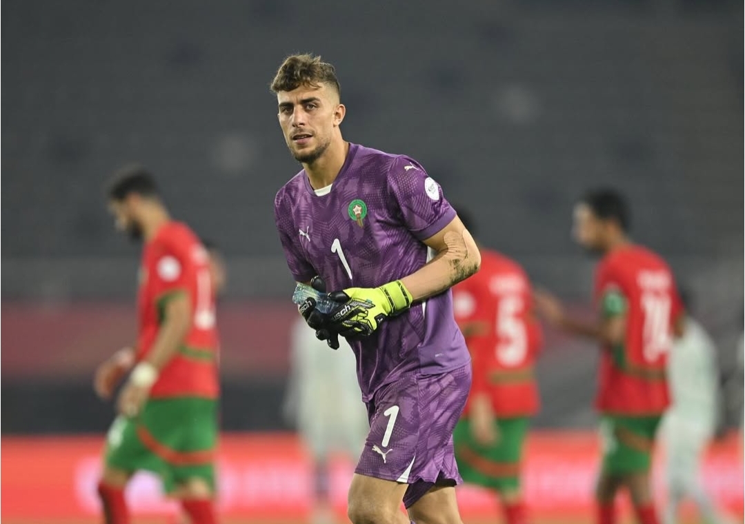 الشان  يهدي الحرار مكانا مع الأسود