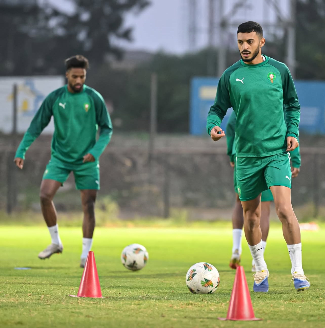 حصة الإستشفاء للأسود بكينيا