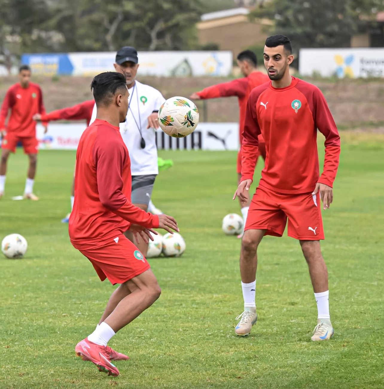 أسود البطولة أنهوا تحضيراتهم لمواجهة أنغولا