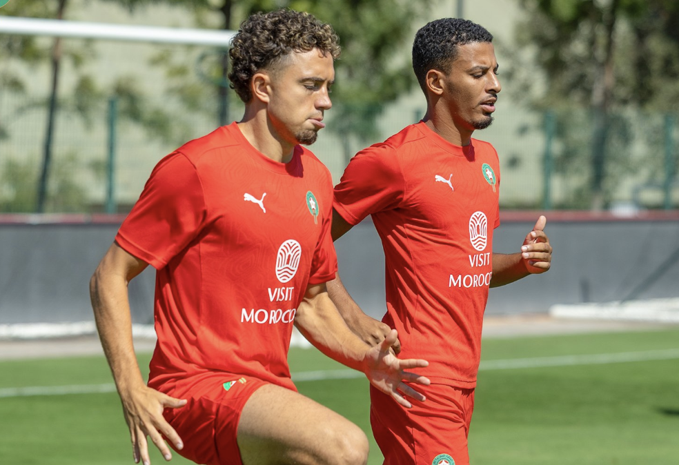 قبل مواجهة النيجر 11 أسدا غيروا أنديتهم