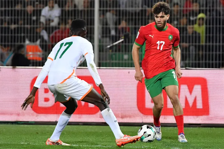 فلاش باك: الأسود أمام النيجر بالعلامة الكاملة