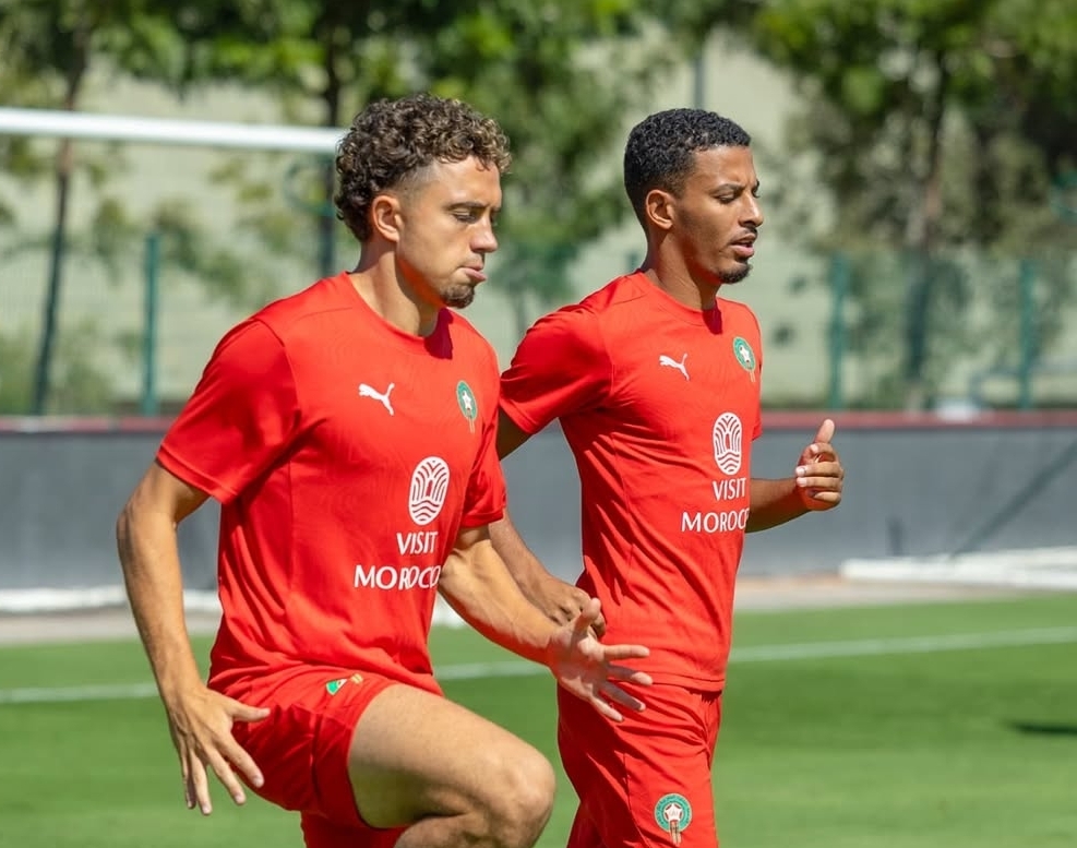 أي دور للعيناوي في مباراة النيجر؟