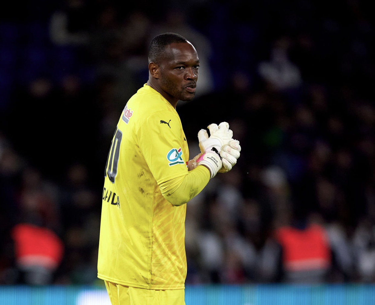 حارس المرمى الدولي الفرنسي السابق مانداندا يعلن نهاية مسيرته