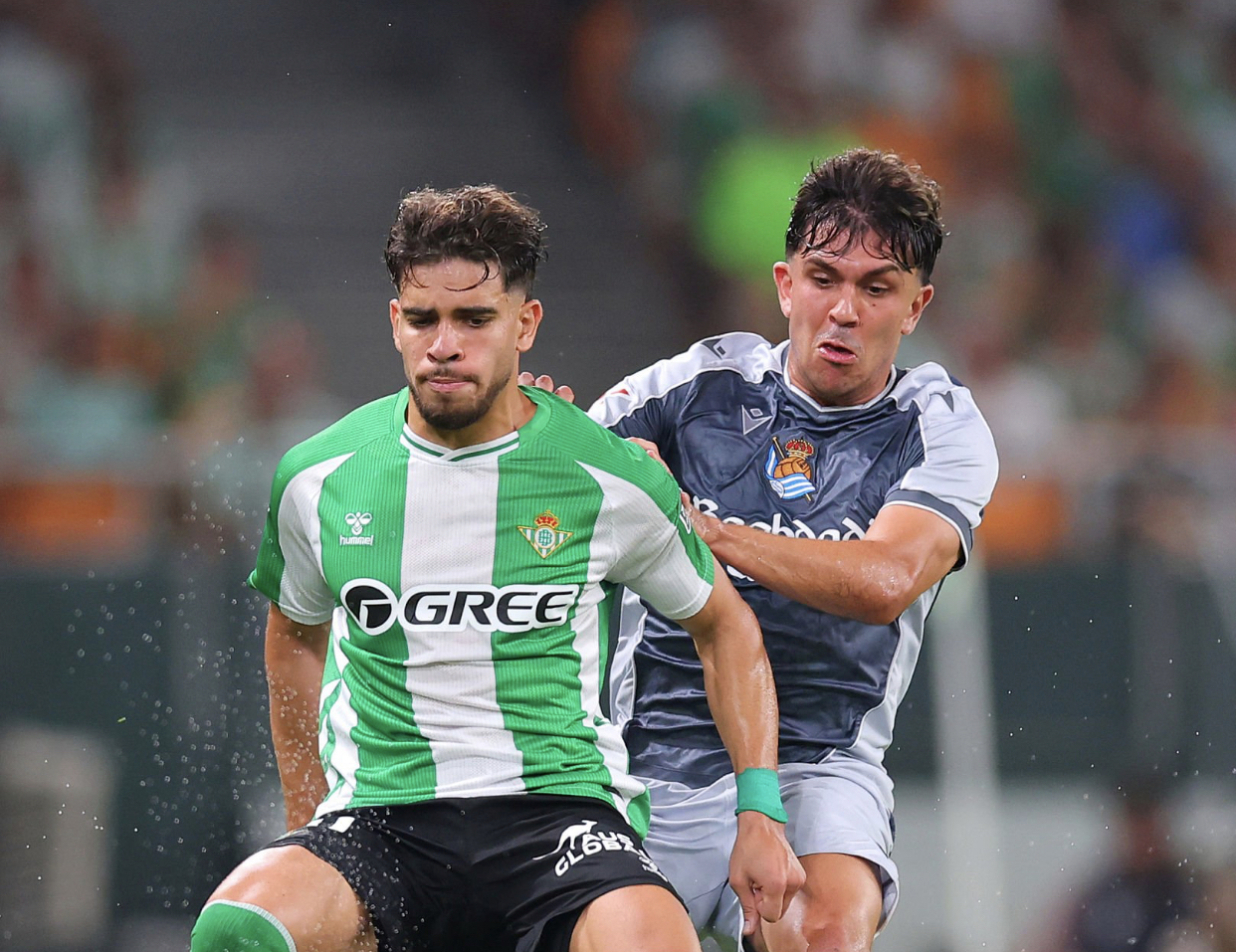 الزلزولي في التشكيل المثالي