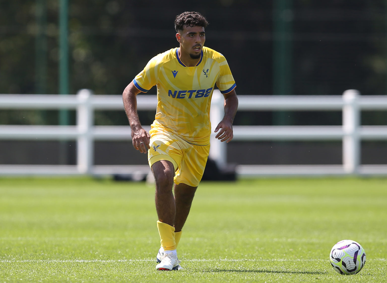 مدرب كريسطال بالاس يحدد موعد عودة شادي رياض