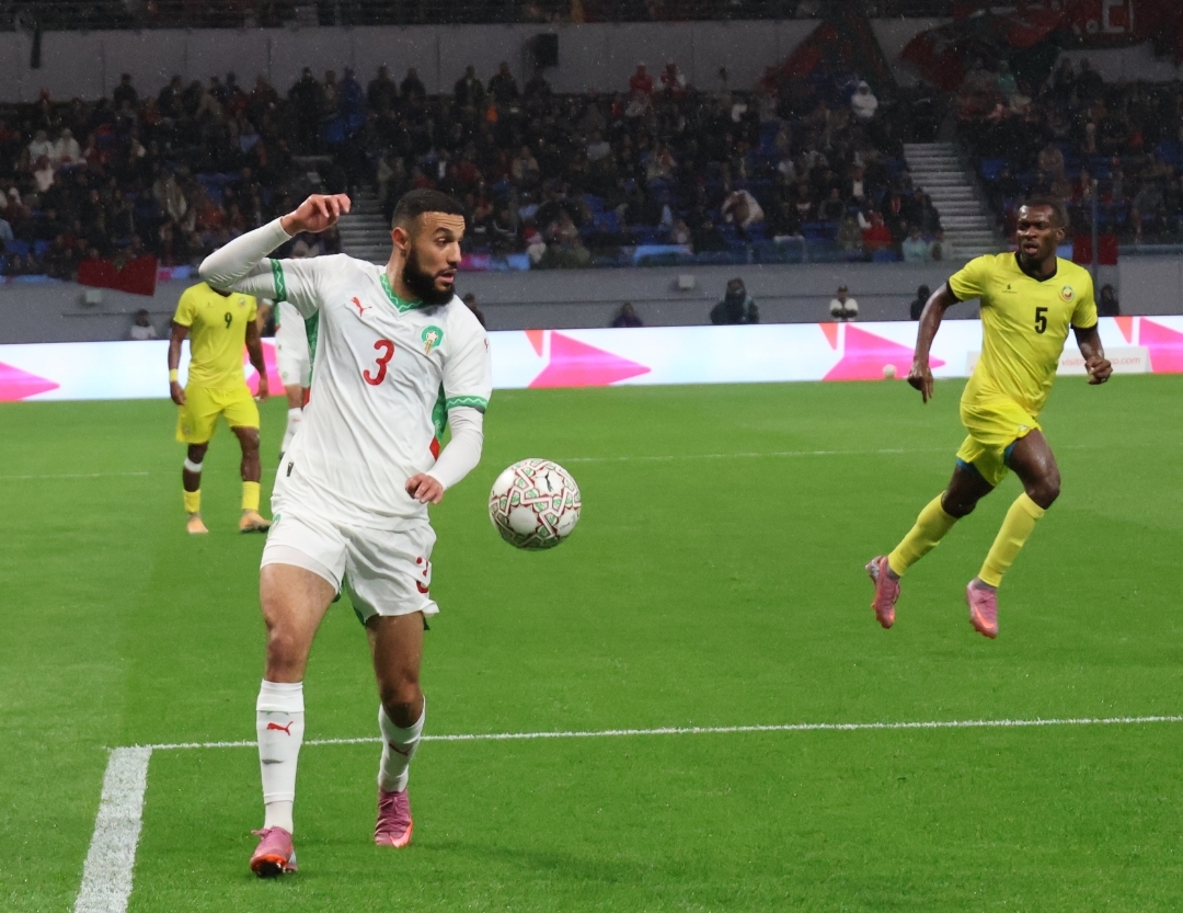 تقييم أداء دفاع الأسود أمام موزمبيق