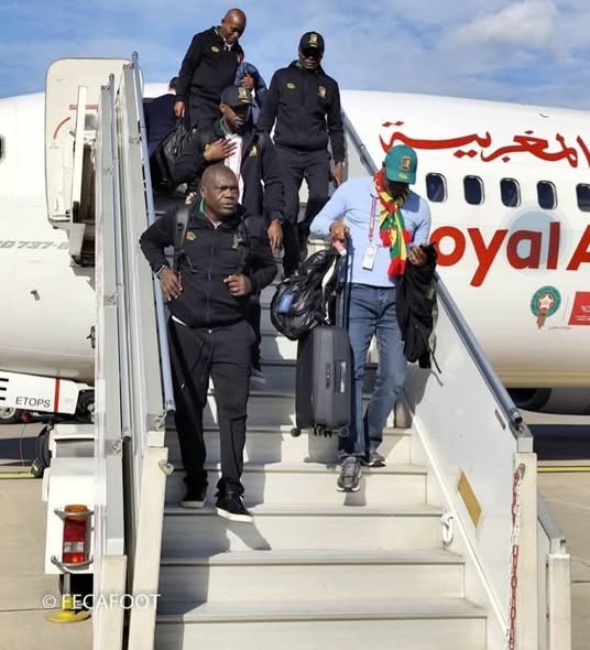 هذا هو الثلاثي الدفاعي الكامروني المفترض الضغط عليه