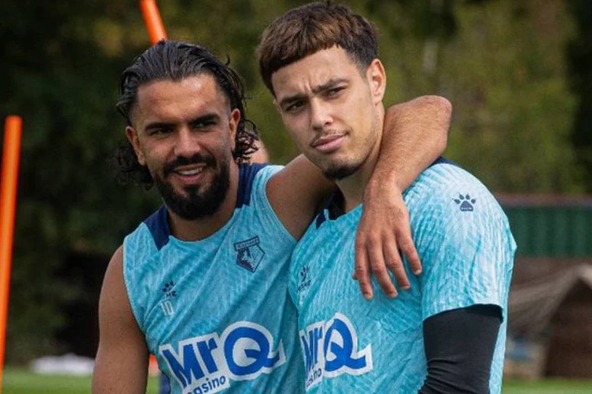 برايتون يريد ثنائي واتفورد لوزا ومعما