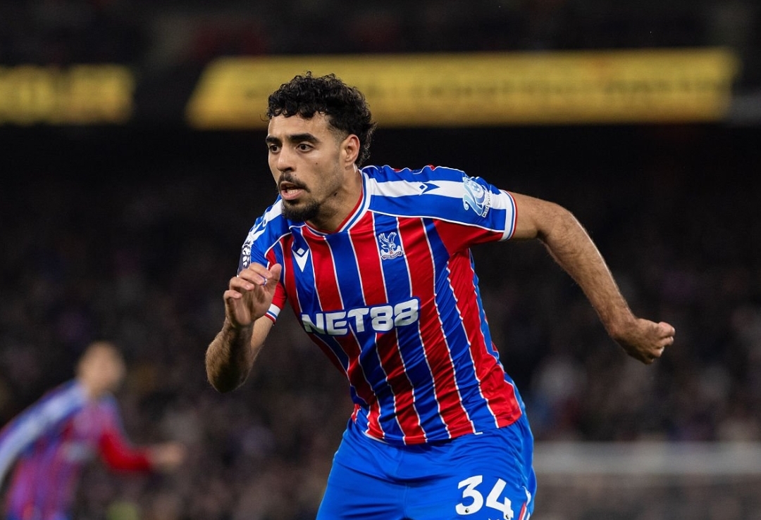 شادي يعود تدريجيا الى التنافسية تأهبا لمشاركته العالمية