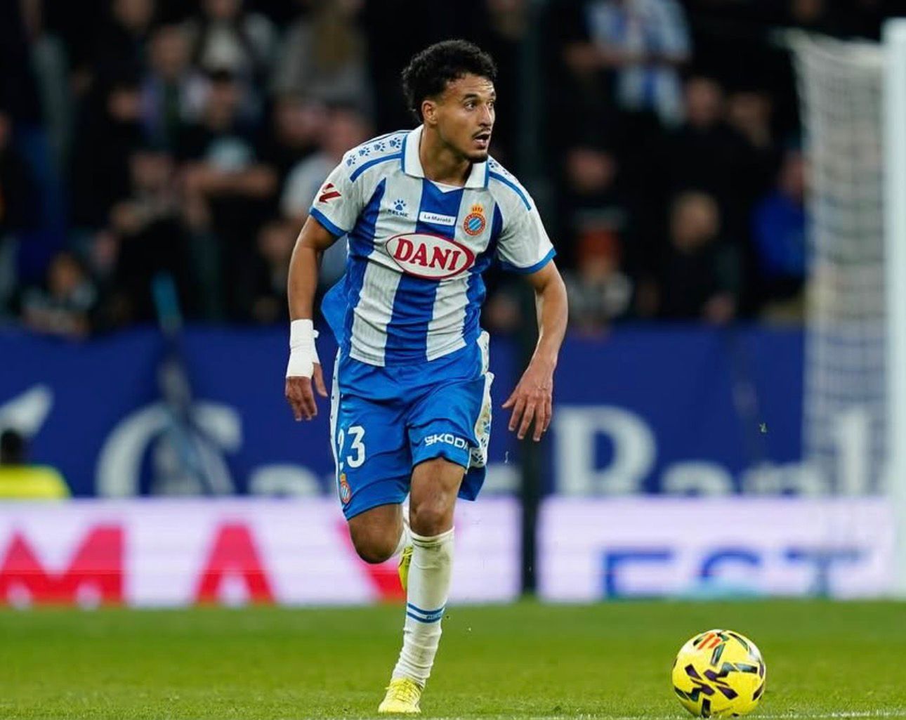 عمر الهلالي مهدد بعقوبة الإيقاف
