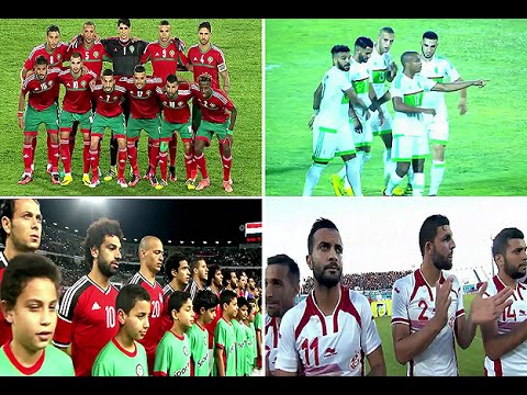 تقرير  بي إن سبور  عن تأهل مصر وتونس والجزائر والمغرب لكأس إفريقيا 2017