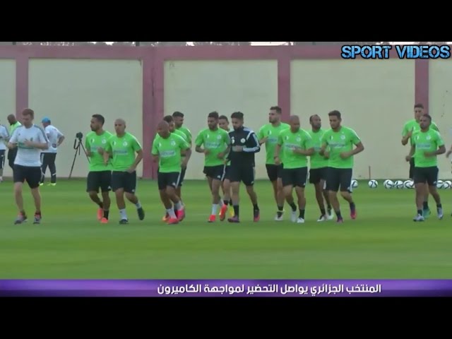 آخر استعدادات منتخب الجزائر لمباراة الكاميرون في تصفيات المونديال