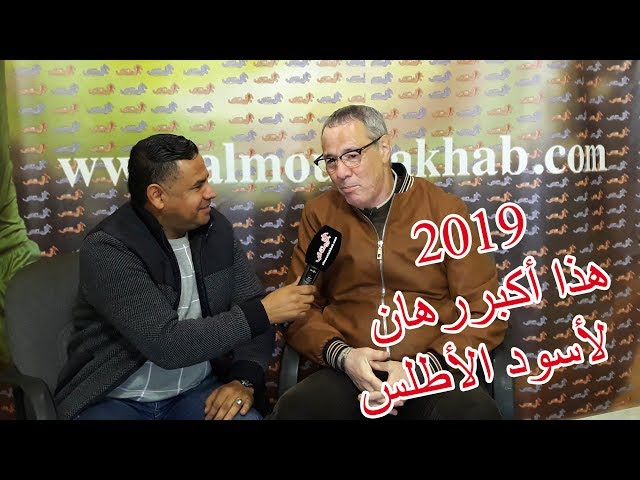 بدر الدين الادريسي: هذا أكبر رهان لأسود الأطلس في سنة 2019