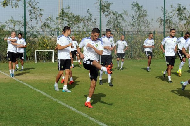 الأسود و الفيلة بملعب واحد قبل المواجهة