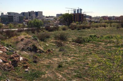 ريال مدريد متهم باختلاس مبلغٍ كبير من الحكومة الإسبانية